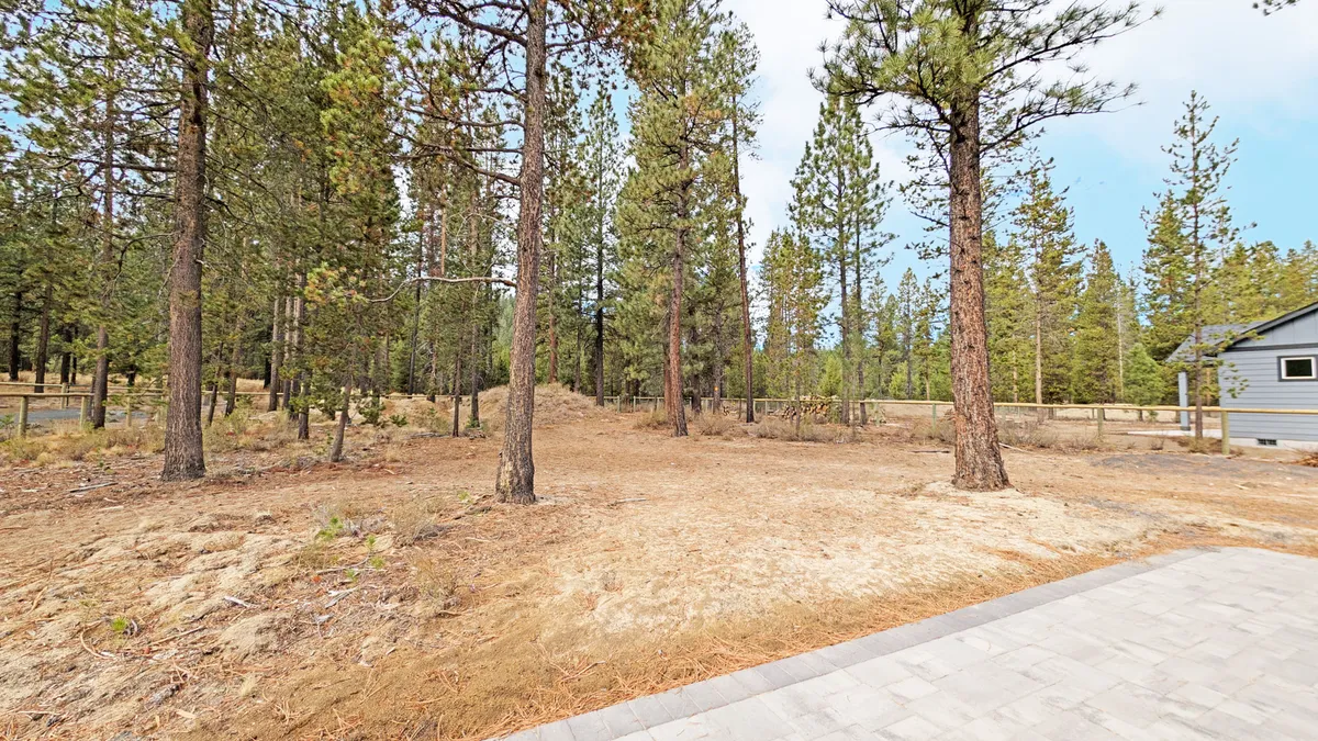 A serene landscape of tall pine trees, cleared ground, and a blue sky provides a quintessential Central Oregon forest scene. The open area hints at opportunities for wildlife spotting and outdoor activities.