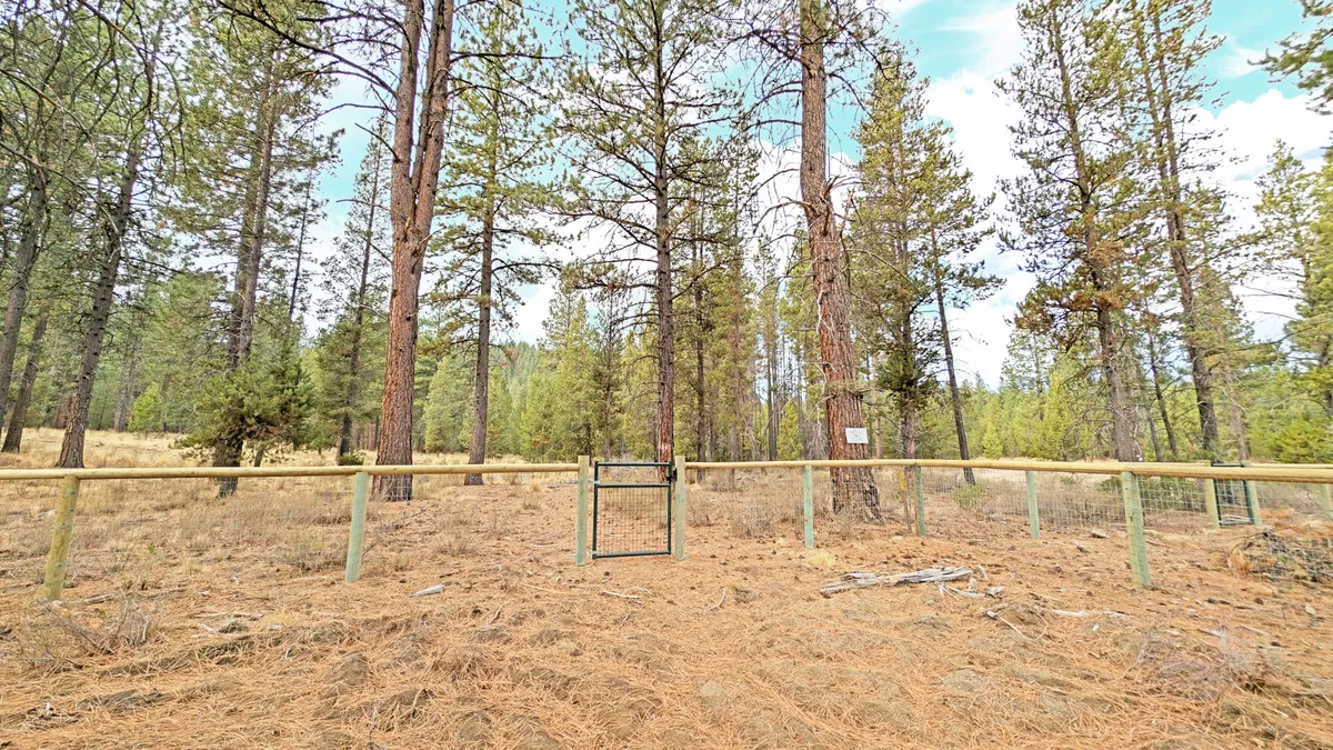 A tranquil exterior view of tall pine trees, a wooden fence, and a metal gate, likely representing the backyard gate mentioned in the section. The gate leads directly into the surrounding National Forest, making it an inviting launch point for outdoor exploration.