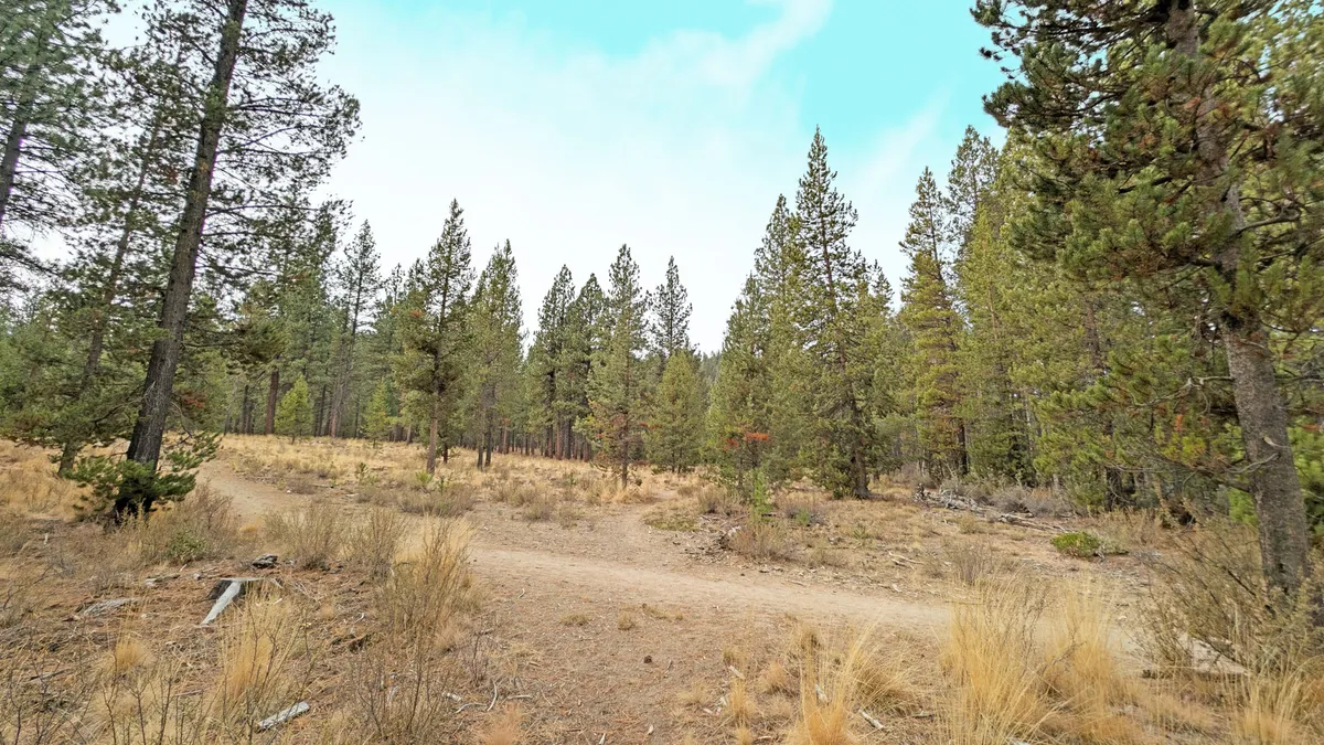 A wide view of a peaceful dirt path winding through a tree line and open field, ideal for hiking, nature walks, or observing wildlife. The expansive sky and untouched landscape capture the spirit of outdoor exploration in Central Oregon.